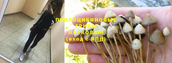 ECSTASY Алзамай