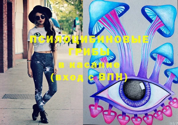 ECSTASY Алзамай