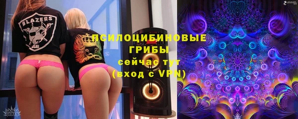 ECSTASY Алзамай